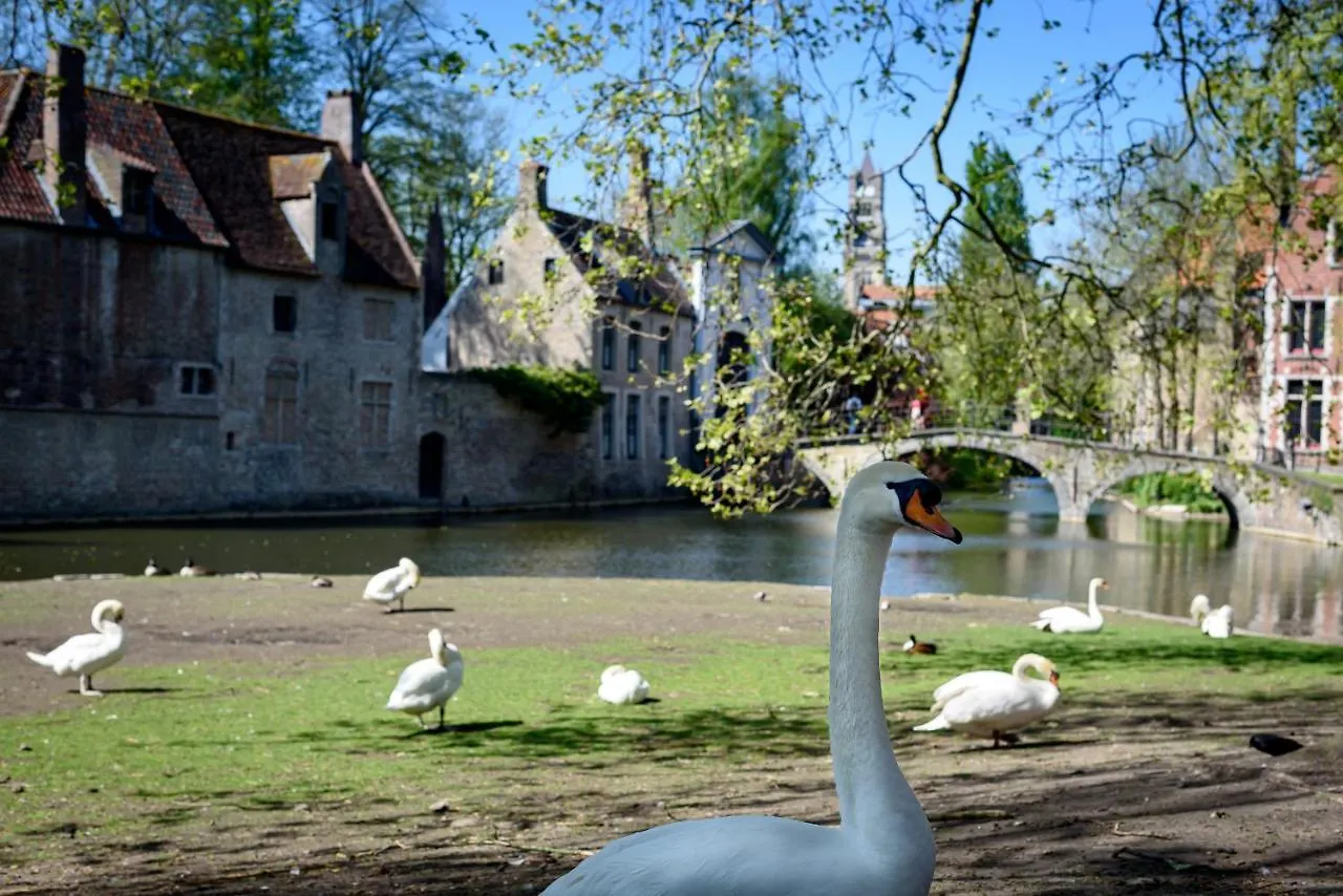 Haven 7 Bed & Breakfast Bruges 0*,  Belgium